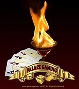 Palace Gaming - Casino Gaming Guide